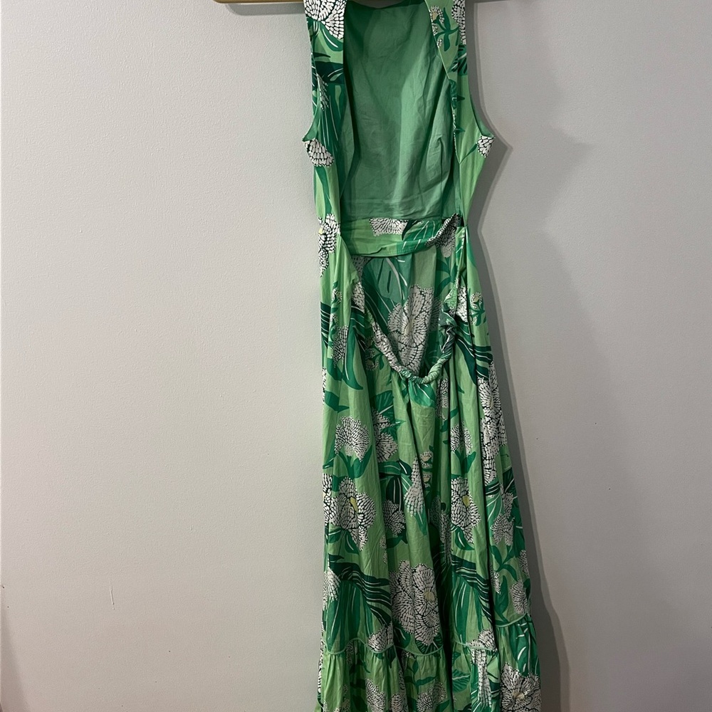 FARM Rio Green Dewdrop Floral Maxi Dress - Picture 4 of 4